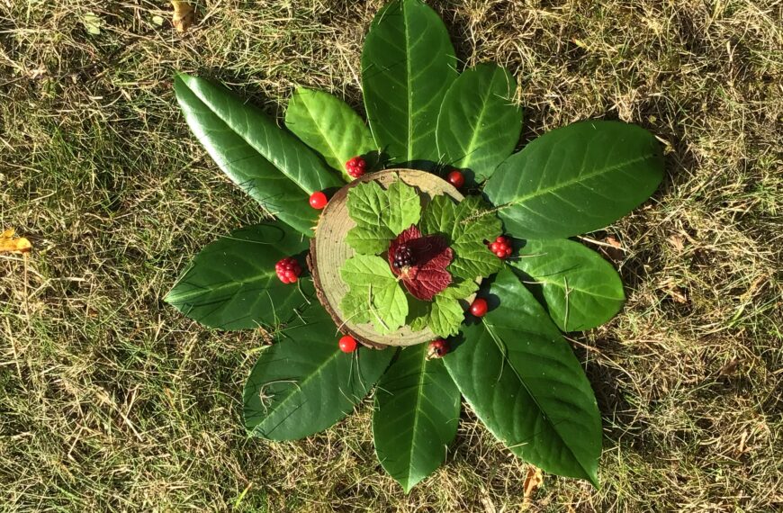 Natural Mandalas