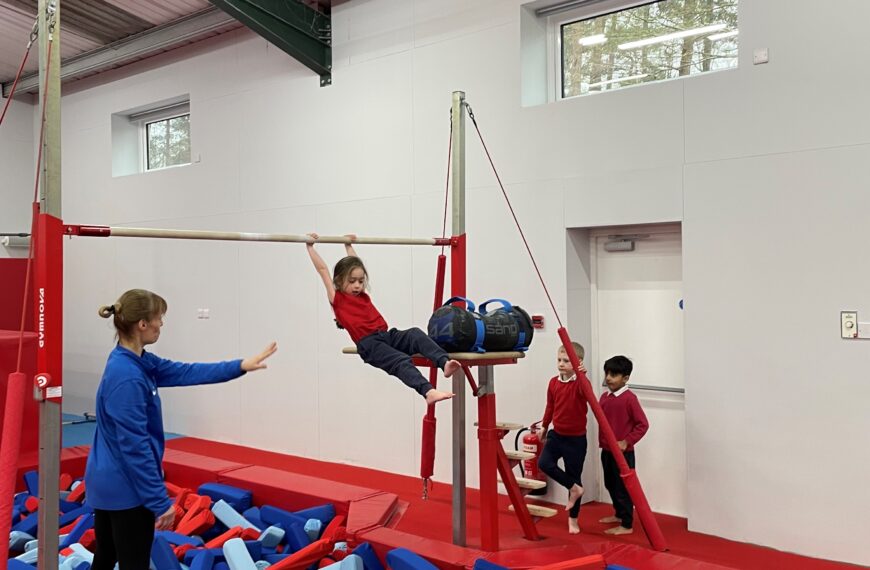 Gymnastics Experience