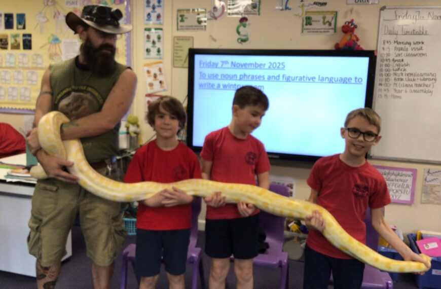 Reptiles Visit Our Class!