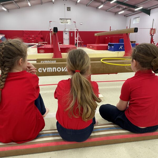 Wokingham School Games – Gymnastics Experience