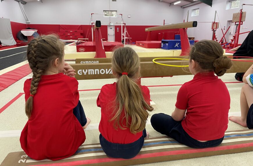 Wokingham School Games – Gymnastics Experience