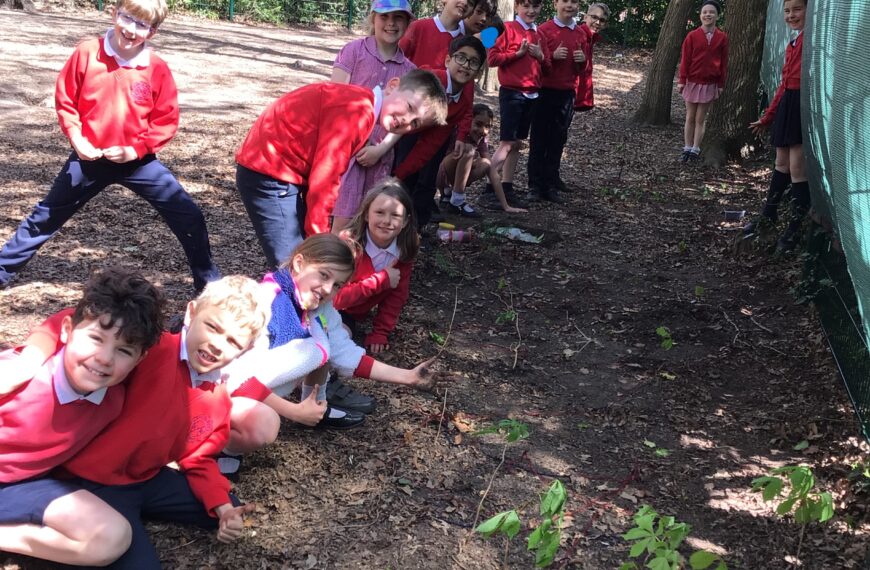 ‘Weslandia’ inspires us