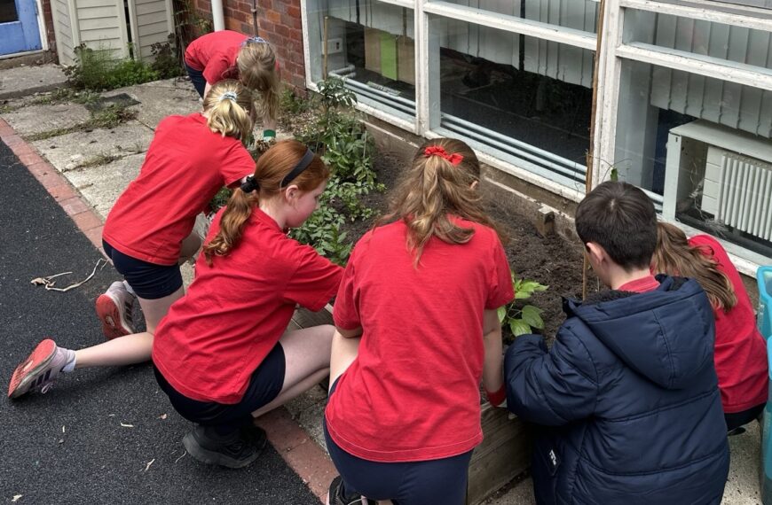 Eco Club