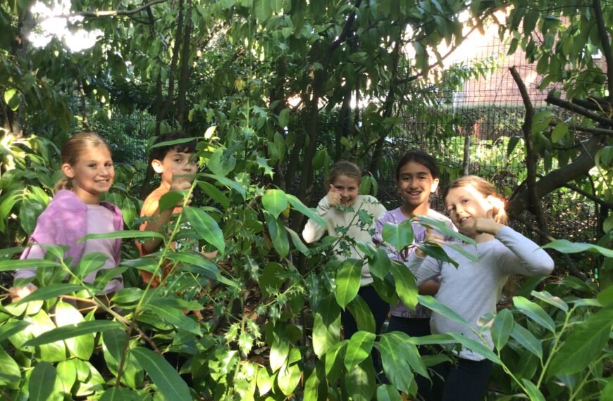 Forest School Skills